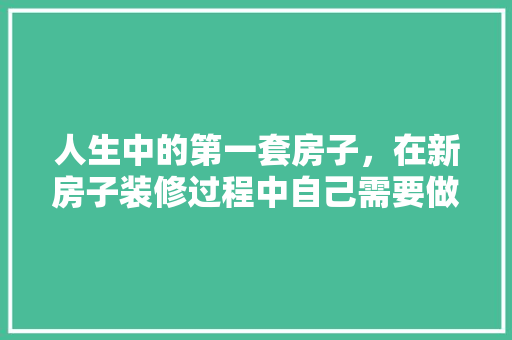 人生中的第一套房子，在新房子装修过程中自己需要做什么，家庭装修完要做什么准备工作。 人生中的第一套房子，在新房子装修过程中自己需要做什么，家庭装修完要做什么准备工作。 二手房