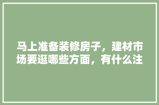马上准备装修房子，建材市场要逛哪些方面，有什么注意事项，装修前期都要准备什么东西。 马上准备装修房子，建材市场要逛哪些方面，有什么注意事项，装修前期都要准备什么东西。 买房须知