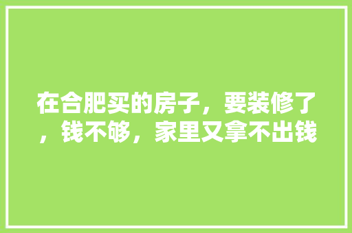 在合肥买的房子，要装修了，钱不够，家里又拿不出钱，怎么解决，合肥装修之前要准备什么东西。 在合肥买的房子，要装修了，钱不够，家里又拿不出钱，怎么解决，合肥装修之前要准备什么东西。 家居设计