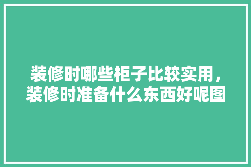 装修时哪些柜子比较实用，装修时准备什么东西好呢图片。 装修时哪些柜子比较实用，装修时准备什么东西好呢图片。 家居设计