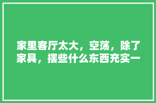 家里客厅太大，空荡，除了家具，摆些什么东西充实一下，装修后客厅准备买什么东西。 家里客厅太大，空荡，除了家具，摆些什么东西充实一下，装修后客厅准备买什么东西。 装修知识