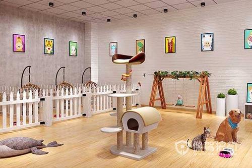 #好物过冬#家里有猫猫狗狗,家居装修应该注意哪些,宠物店装修准备什么家具好。 装修知识 #好物过冬#家里有猫猫狗狗,家居装修应该注意哪些,宠物店装修准备什么家具好。 #好物过冬#家里有猫猫狗狗,家居装修应该注意哪些,宠物店装修准备什么家具好。 装修知识