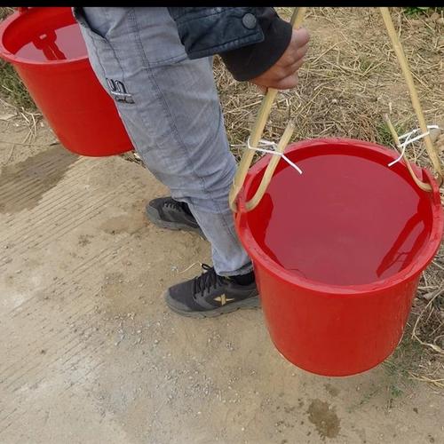 工地大胶桶可以种菜吗，装修要准备胶桶吗为什么呢。 工地大胶桶可以种菜吗，装修要准备胶桶吗为什么呢。 家居设计