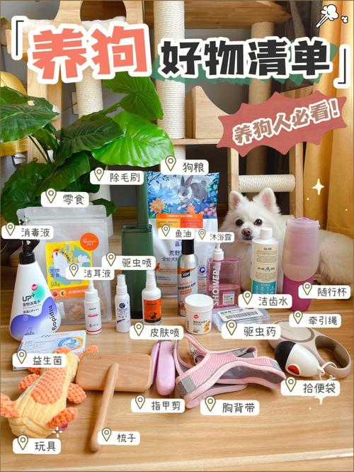 养狗之前,有什么东西是要准备的呢,装修半年前准备什么东西好。 二手房 养狗之前,有什么东西是要准备的呢,装修半年前准备什么东西好。 养狗之前,有什么东西是要准备的呢,装修半年前准备什么东西好。 二手房