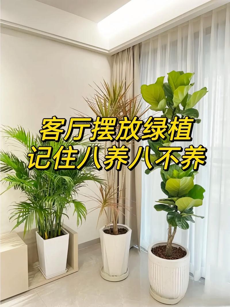 家里刚装修好,准备养些植物有好的推荐吗,家中装修要准备什么东西。 二手房 家里刚装修好,准备养些植物有好的推荐吗,家中装修要准备什么东西。 家里刚装修好,准备养些植物有好的推荐吗,家中装修要准备什么东西。 二手房