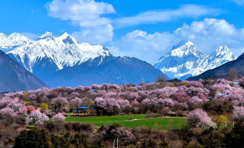 西藏林芝冬天冷吗，需要穿什么衣服，有暖气吗，洗澡方便吗，有人说那里的水中含铅多，是吗，装修西藏需要准备些什么东西。 西藏林芝冬天冷吗，需要穿什么衣服，有暖气吗，洗澡方便吗，有人说那里的水中含铅多，是吗，装修西藏需要准备些什么东西。 家居设计