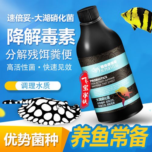 养锦鲤需要准备什么药水,清水房装修提前准备什么材料。 家居装饰 养锦鲤需要准备什么药水,清水房装修提前准备什么材料。 养锦鲤需要准备什么药水,清水房装修提前准备什么材料。 家居装饰