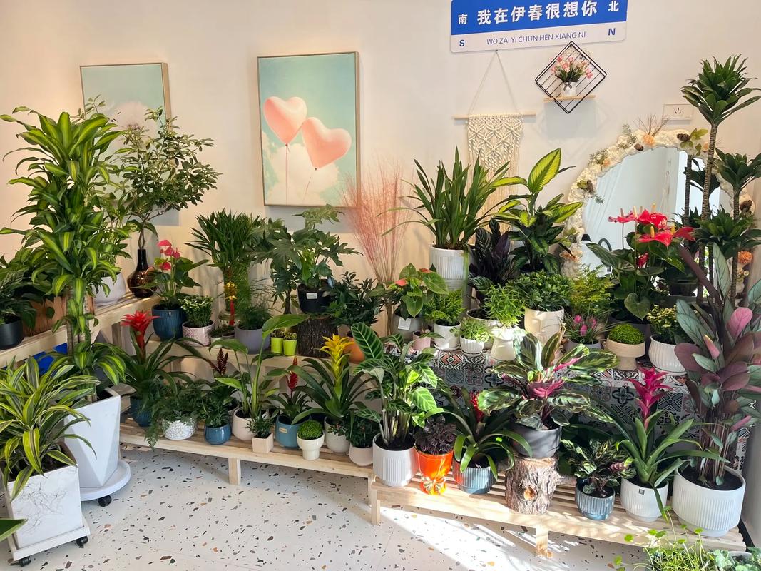 开一个卖盆栽的花店需要淮备什么，开花店装修需要准备什么东西。 开一个卖盆栽的花店需要淮备什么，开花店装修需要准备什么东西。 家居设计