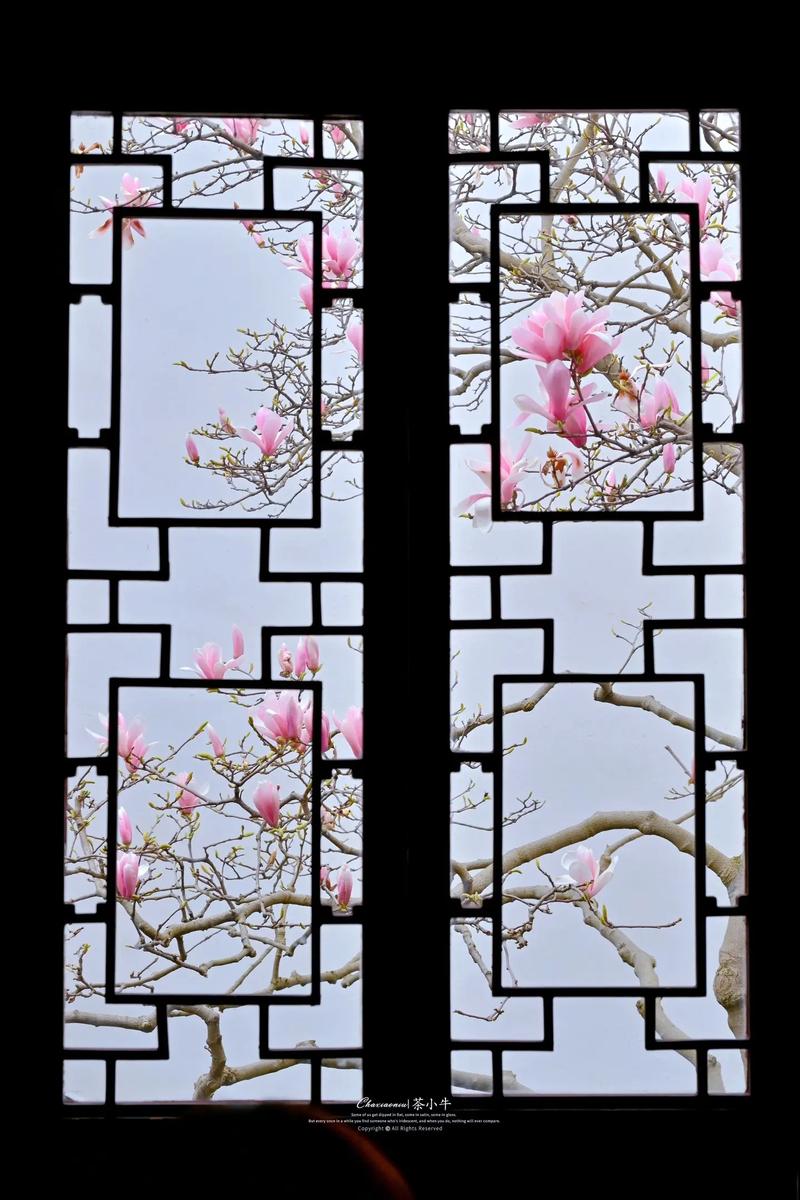 传统窗户之美,时光沉淀下的智慧与艺术 家居装饰 传统窗户之美,时光沉淀下的智慧与艺术 传统窗户之美,时光沉淀下的智慧与艺术 家居装饰