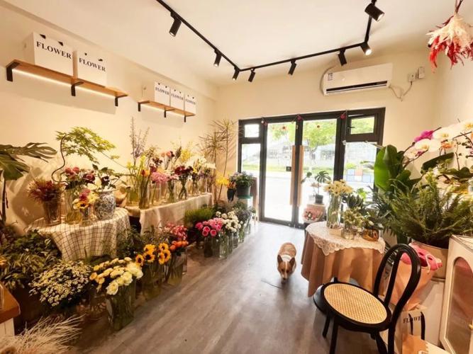 开平康乃馨店,一场温馨的装修蜕变之旅 买房须知 开平康乃馨店,一场温馨的装修蜕变之旅 开平康乃馨店,一场温馨的装修蜕变之旅 买房须知