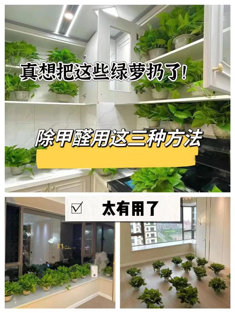装修柜子除味攻略,告别异味,打造健康家居环境 家居装饰 装修柜子除味攻略,告别异味,打造健康家居环境 装修柜子除味攻略,告别异味,打造健康家居环境 家居装饰