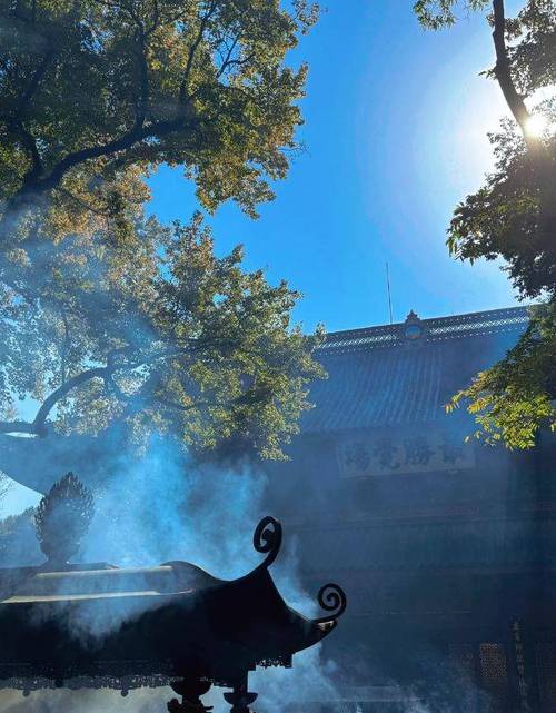 品味吉祥寺风情,古韵与现代的和谐交融 二手房 品味吉祥寺风情,古韵与现代的和谐交融 品味吉祥寺风情,古韵与现代的和谐交融 二手房