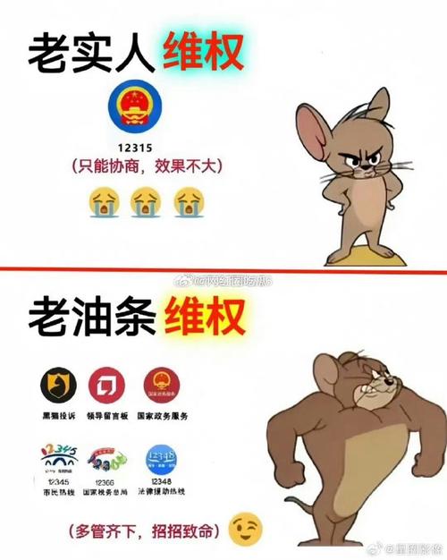 合伙人私吞装修款,维权之路与法律保障 合伙人私吞装修款,维权之路与法律保障 装修知识