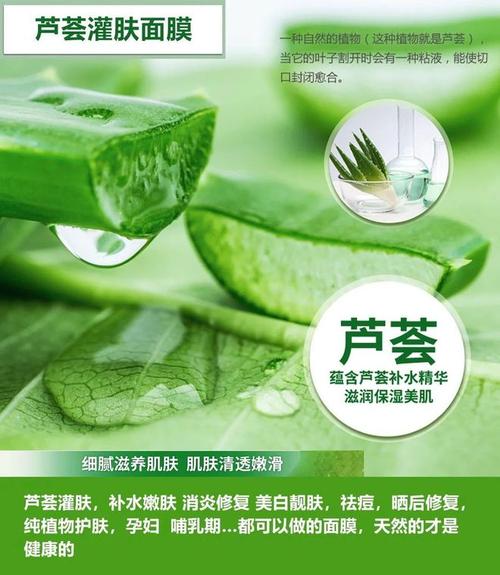 焕然一新，芦荟化妆品店,绿色之韵，美肤之旅 焕然一新，芦荟化妆品店,绿色之韵，美肤之旅 家居设计